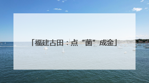 福建古田：点“菌”成金