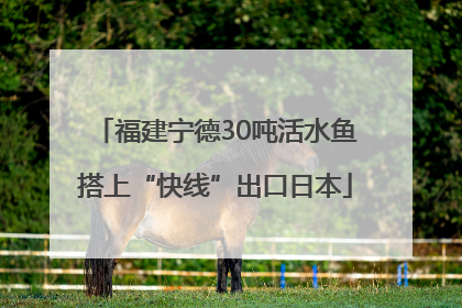 福建宁德30吨活水鱼搭上“快线”出口日本