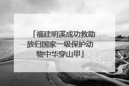 福建明溪成功救助放归国家一级保护动物中华穿山甲