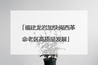 福建龙岩加快闽西革命老区高质量发展