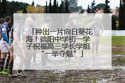 种出一片向日葵花海！德阳中学初一学子祝福高三学长学姐“一举夺魁”