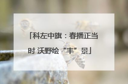 科左中旗：春播正当时 沃野绘“丰”景