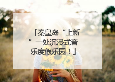 秦皇岛“上新”一处沉浸式音乐度假乐园！