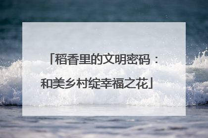 稻香里的文明密码：和美乡村绽幸福之花
