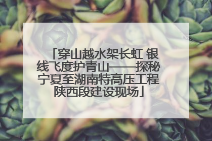穿山越水架长虹 银线飞度护青山——探秘宁夏至湖南特高压工程陕西段建设现场