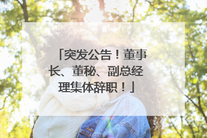 突发公告！董事长、董秘、副总经理集体辞职！