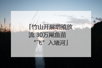 竹山开展增殖放流 30万尾鱼苗“飞”入堵河