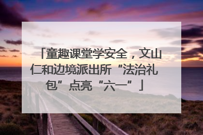 童趣课堂学安全，文山仁和边境派出所“法治礼包”点亮“六一”