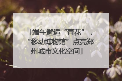 端午邂逅“青花”，“移动博物馆”点亮郑州城市文化空间