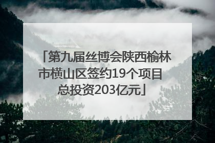 第九届丝博会陕西榆林市横山区签约19个项目 总投资203亿元