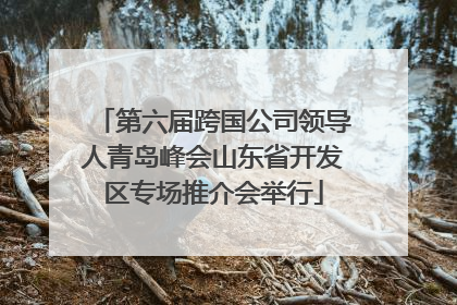 第六届跨国公司领导人青岛峰会山东省开发区专场推介会举行