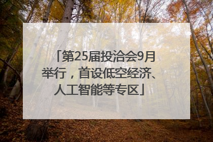 第25届投洽会9月举行，首设低空经济、人工智能等专区