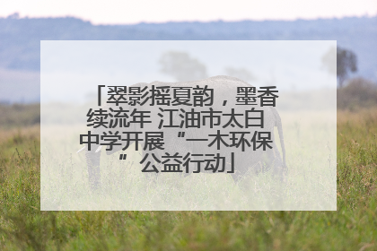 翠影摇夏韵，墨香续流年 江油市太白中学开展“一木环保”公益行动