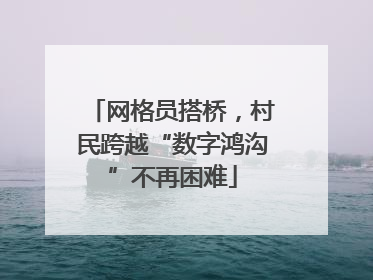 网格员搭桥，村民跨越“数字鸿沟”不再困难