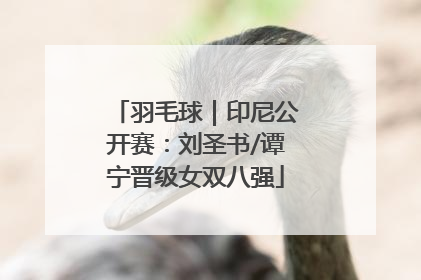 羽毛球｜印尼公开赛：刘圣书/谭宁晋级女双八强