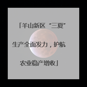 羊山新区“三夏”生产全面发力，护航农业稳产增收