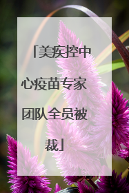 美疾控中心疫苗专家团队全员被裁