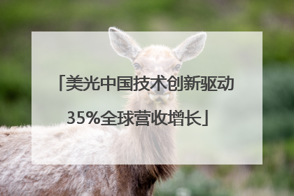 美光中国技术创新驱动35%全球营收增长