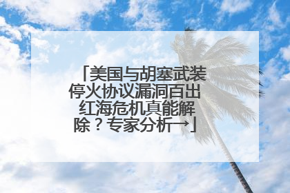 美国与胡塞武装停火协议漏洞百出 红海危机真能解除？专家分析→