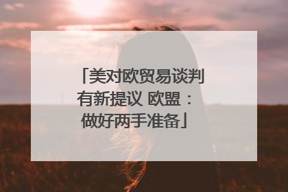 美对欧贸易谈判有新提议 欧盟：做好两手准备