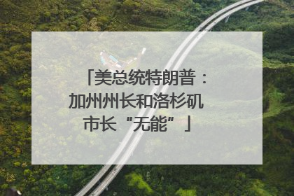 美总统特朗普：加州州长和洛杉矶市长“无能”