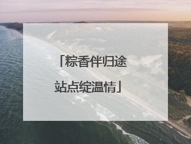 粽香伴归途 站点绽温情