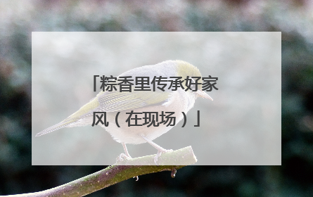 粽香里传承好家风（在现场）