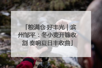 粮满仓·好丰光｜滨州邹平：冬小麦开镰收割 奏响夏日丰收曲