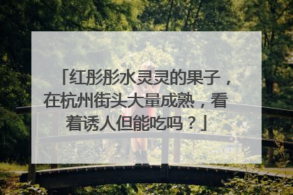 红彤彤水灵灵的果子，在杭州街头大量成熟，看着诱人但能吃吗？