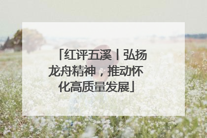 红评五溪丨弘扬龙舟精神，推动怀化高质量发展