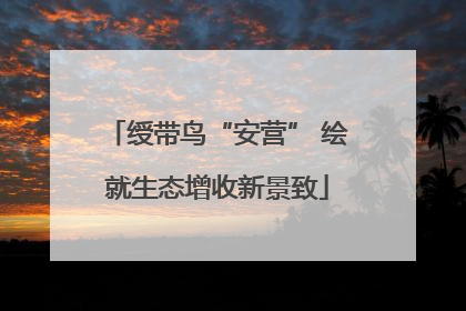 绶带鸟“安营” 绘就生态增收新景致