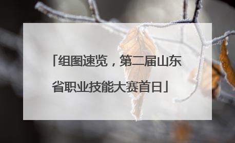 组图速览，第二届山东省职业技能大赛首日