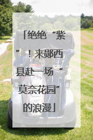 绝绝“紫”！来郧西县赴一场“莫奈花园”的浪漫