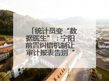 统计员变“数据医生”：宁阳前置纠错机制让审计报表告别“带病上岗”