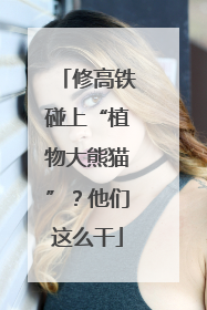 修高铁碰上“植物大熊猫”？他们这么干