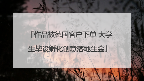 作品被德国客户下单 大学生毕设孵化创意落地生金