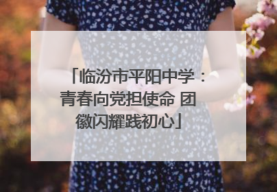临汾市平阳中学：青春向党担使命 团徽闪耀践初心