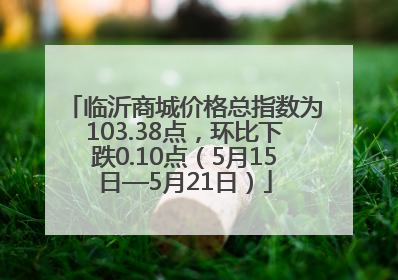 临沂商城价格总指数为103.38点，环比下跌0.10点（5月15日—5月21日）