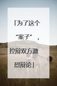 为了这个“案子”，控辩双方激烈辩论
