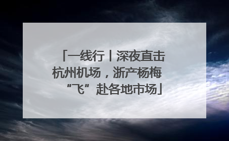 一线行丨深夜直击杭州机场，浙产杨梅“飞”赴各地市场