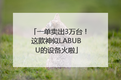 一单卖出3万台！这款神似LABUBU的设备火啦