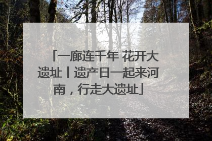 一廊连千年 花开大遗址丨遗产日一起来河南，行走大遗址