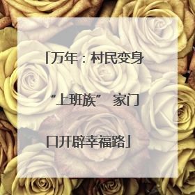 万年：村民变身“上班族” 家门口开辟幸福路