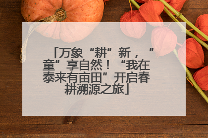 万象“耕”新，“童”享自然！“我在泰来有亩田”开启春耕溯源之旅