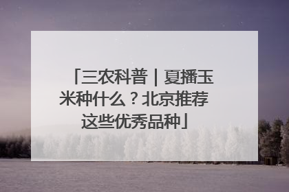 三农科普｜夏播玉米种什么？北京推荐这些优秀品种