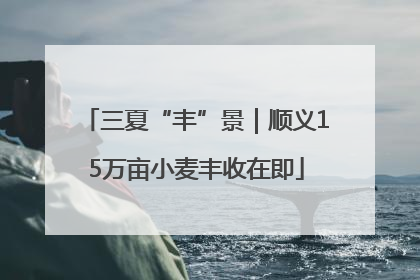 三夏“丰”景｜顺义15万亩小麦丰收在即