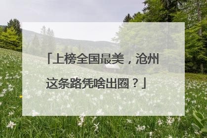上榜全国最美，沧州这条路凭啥出圈？