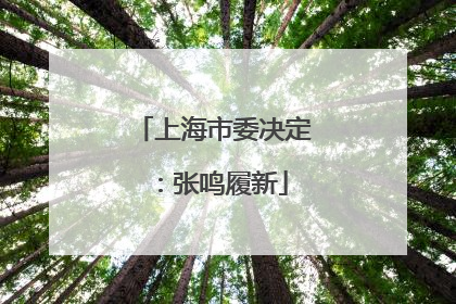 上海市委决定：张鸣履新