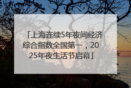 上海连续5年夜间经济综合指数全国第一，2025年夜生活节启幕
