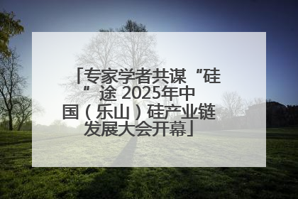 专家学者共谋“硅”途 2025年中国（乐山）硅产业链发展大会开幕